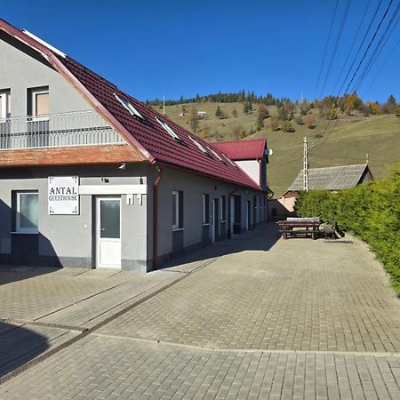 Antal Guesthouse Ghimeş-Făget Εξωτερικό φωτογραφία